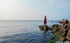 公交车的上轮杆